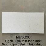 Gạch Terrazzo Porcelain mờ phẳng KT 300x600mm mã 36200