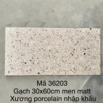 Gạch Terrazzo Porcelain mờ phẳng KT 300x600mm mã 36203